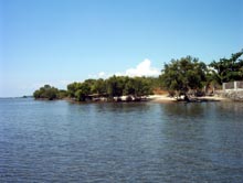 Lago de Oro Mangrove Lago de Oro Mangrove