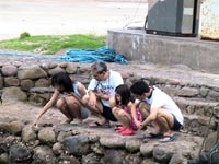 Maya-Maya - colorful fishes at the wet-berths