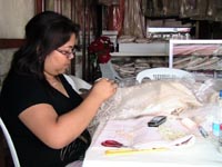 Cross-Stitch of Barong Tagalog