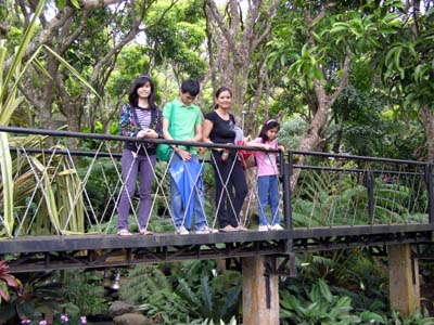 Caleruega Elevated Steel Pathway