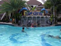 Blue Coral Adult Pool