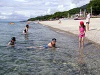 Blue Coral Clear Water