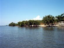 Lago de Oro Mangrove