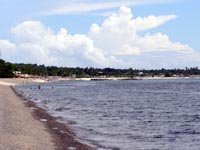 Blue Coral Shoreline