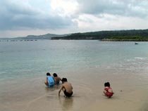 Canyon Cove Shoreline